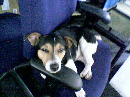 Humphrey