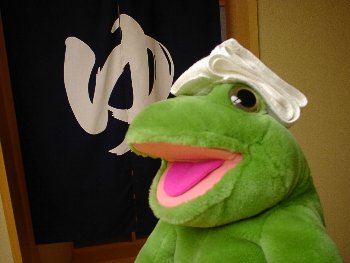 Photo of Kaeru ready for a bath