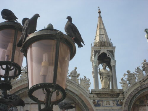 Pigeons, lanterns and scultpure