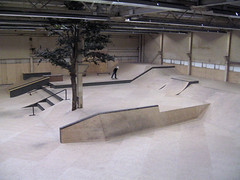 Tree by Pocketmonsterd on Flickr