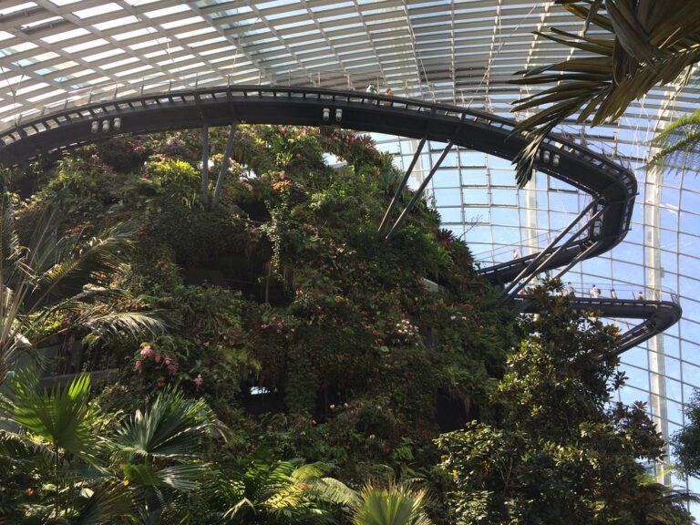 Cloud Forest - Gardens by the Bay
