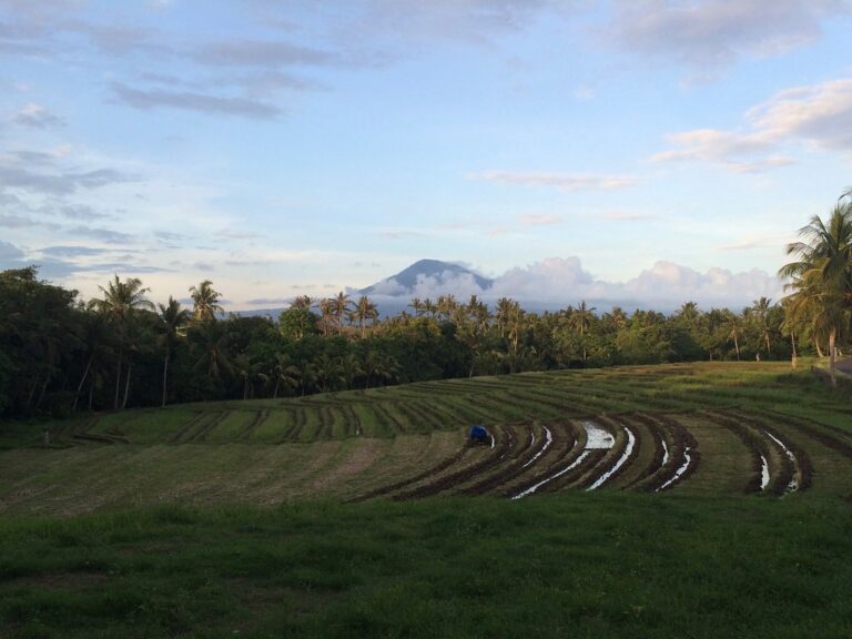 Gunung Batukaru