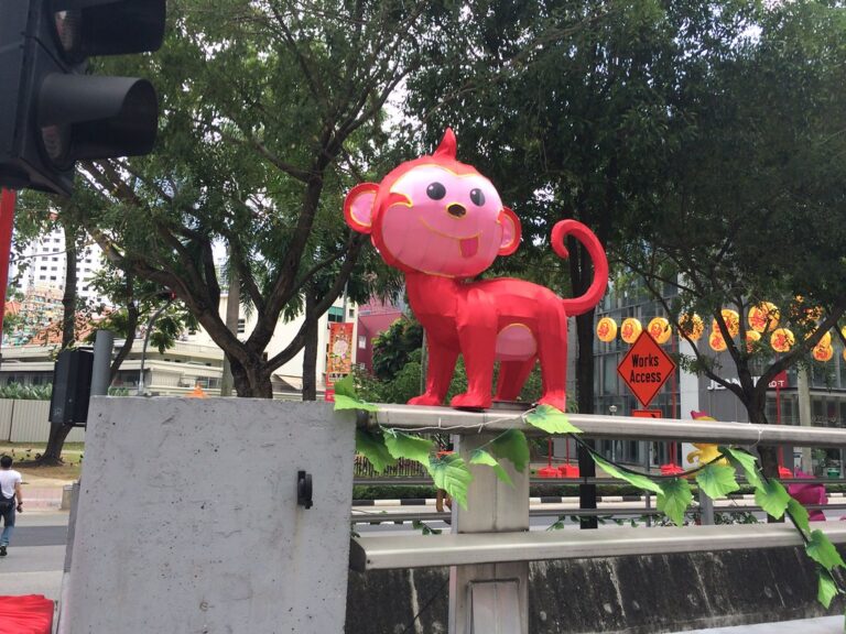 Chinatown monkey