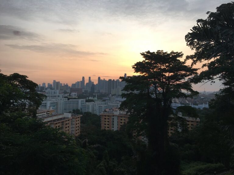 Dawn view from Mount Faber