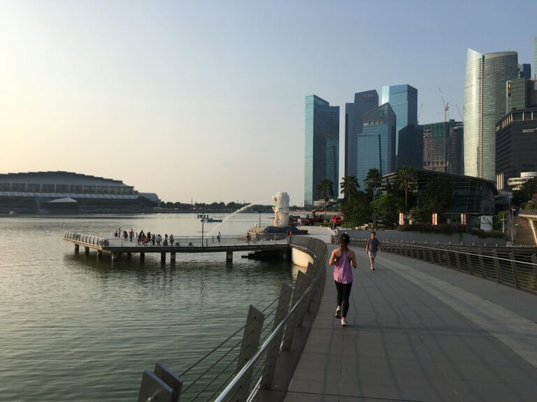 Morning run around the bay