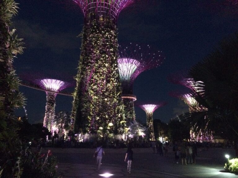 Supertree Grove at Gardens by the Bay