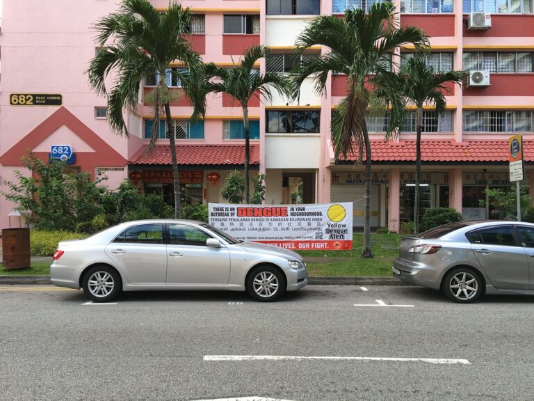 "There is an outbreak of dengue in your neighbourhood" 😰